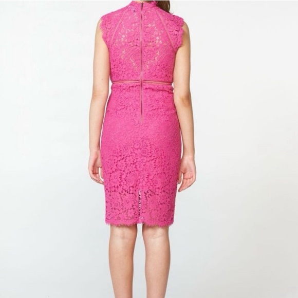 Bardot Lace Panel dark pink size 10. - Picture 7 of 8